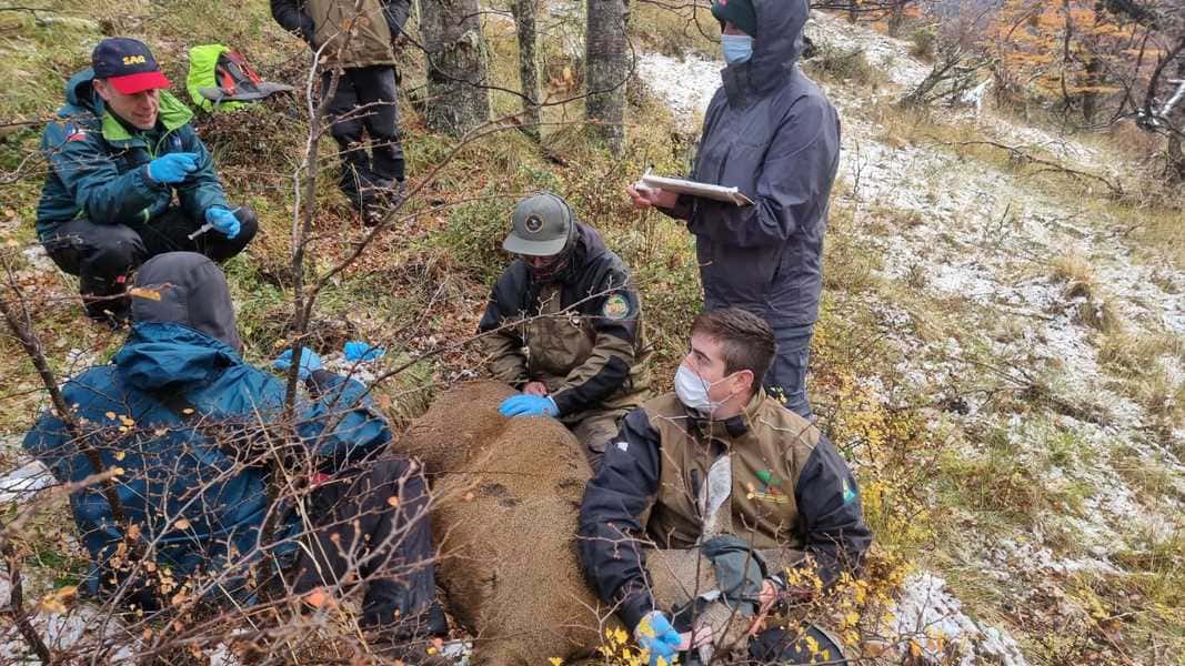 IMG-20210528-WA0067 (1) (1)