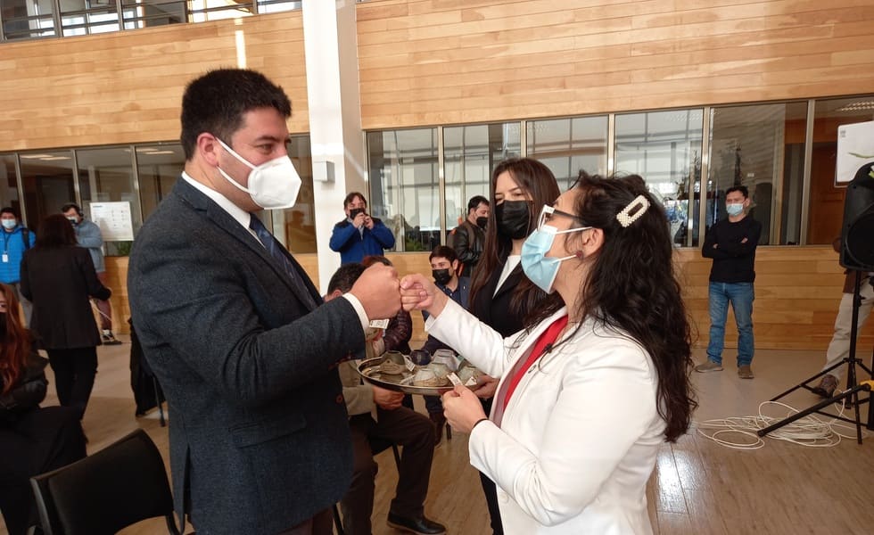 ALCALDE GOBERNADORA 1.1 (1) (2)