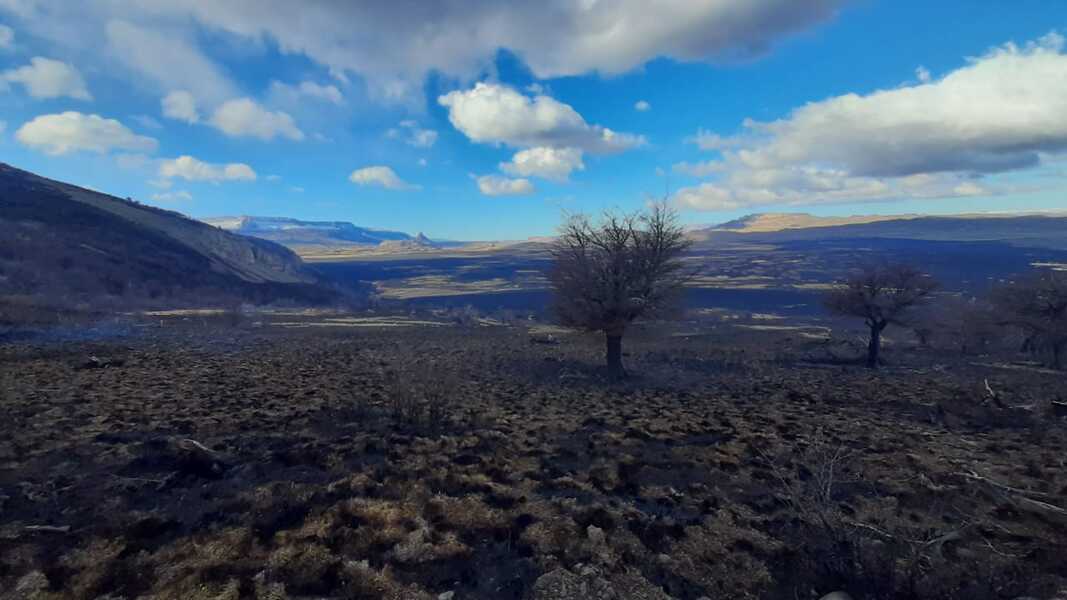 Incendio Parque Patagonia (1)