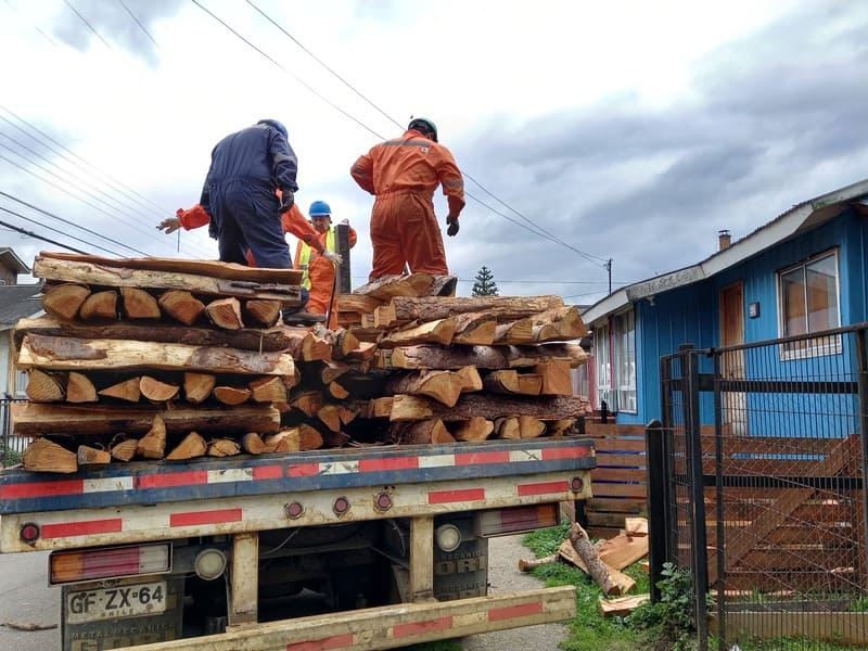 Leña_114546 (1) (1)