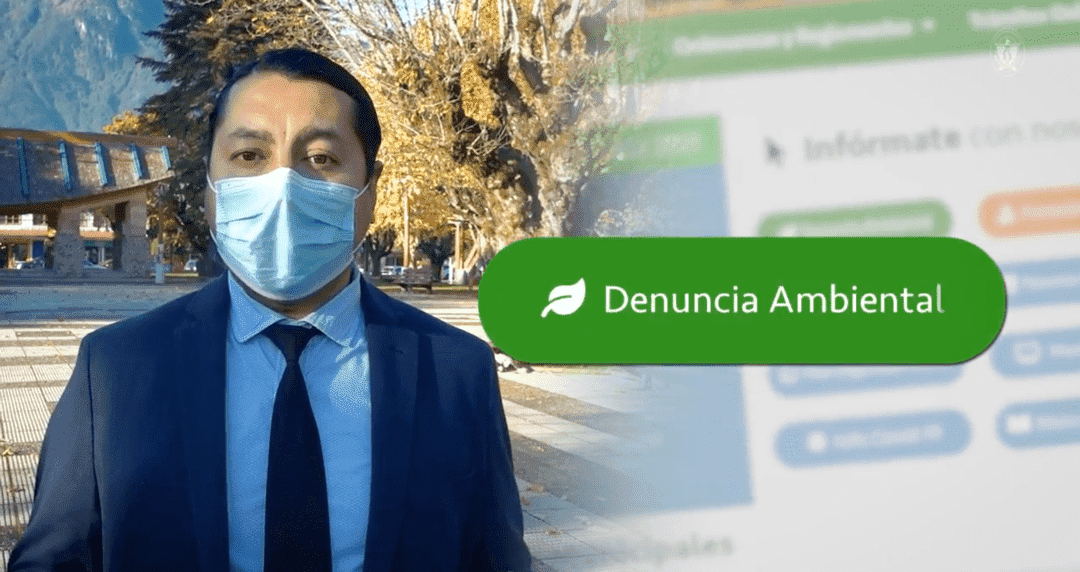 img-damuni2-1-(1)-(1)_optimized