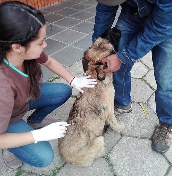 Operativo en Puerto Guadal1 (1) (1)