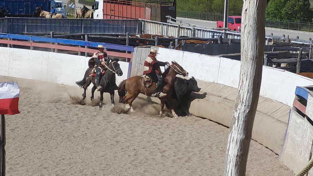 fb_img_rodeo_optimized