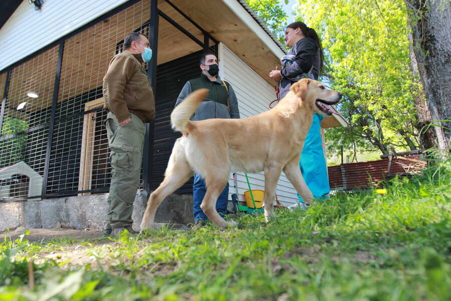 img_0745-(1)_optimized