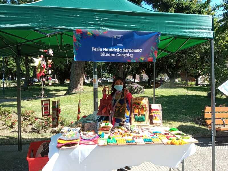 balance-expo-feria-navideña-sernameg-(9)-2_optimized