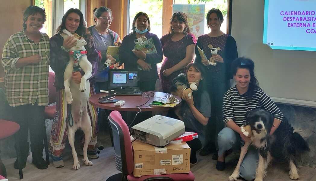 mascotas-2_optimized