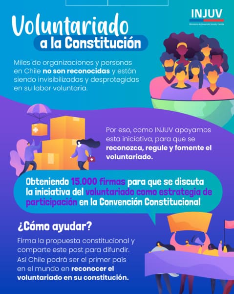Gráfica Iniciativa voluntariado (1) (1)