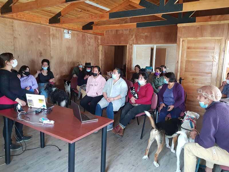 Mascotas_Guadal (1) (1)