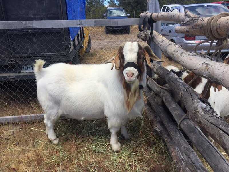 foto-archivo-1-2_optimized