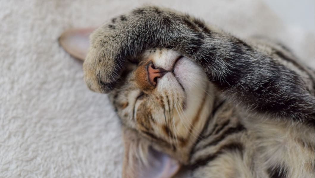 unnamed (22) (1) (1)