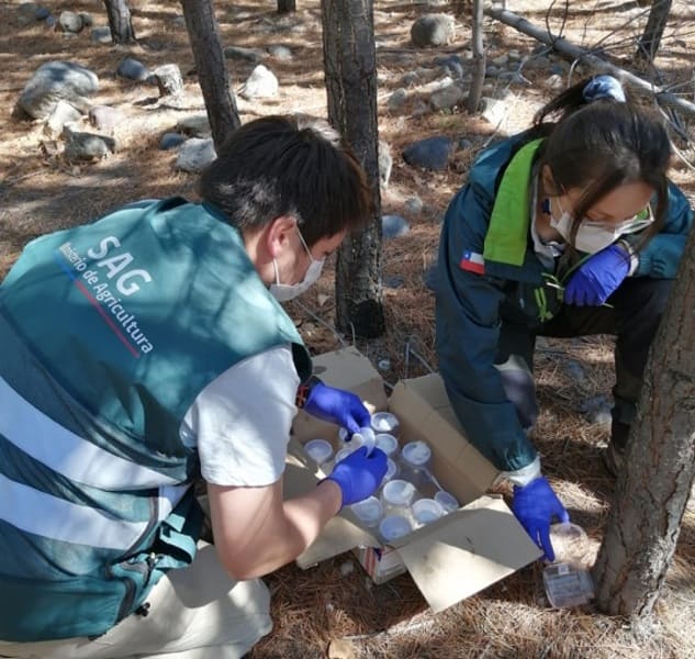 Liberación 1.1 (1) (1)