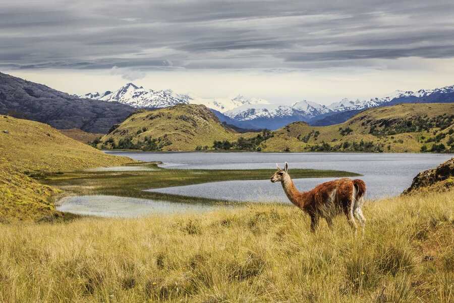 créditos-linde_waidhofer_parque_nacional_patagonia-(1)_optimized