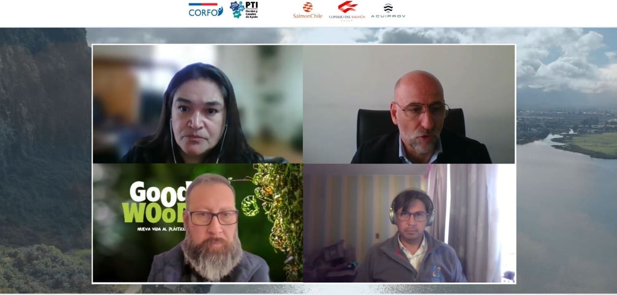 04 webinar PTI (1) (1)