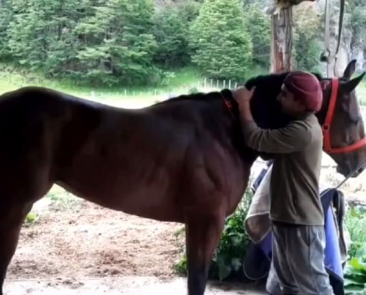 Jinete Epifanio (1) (1)