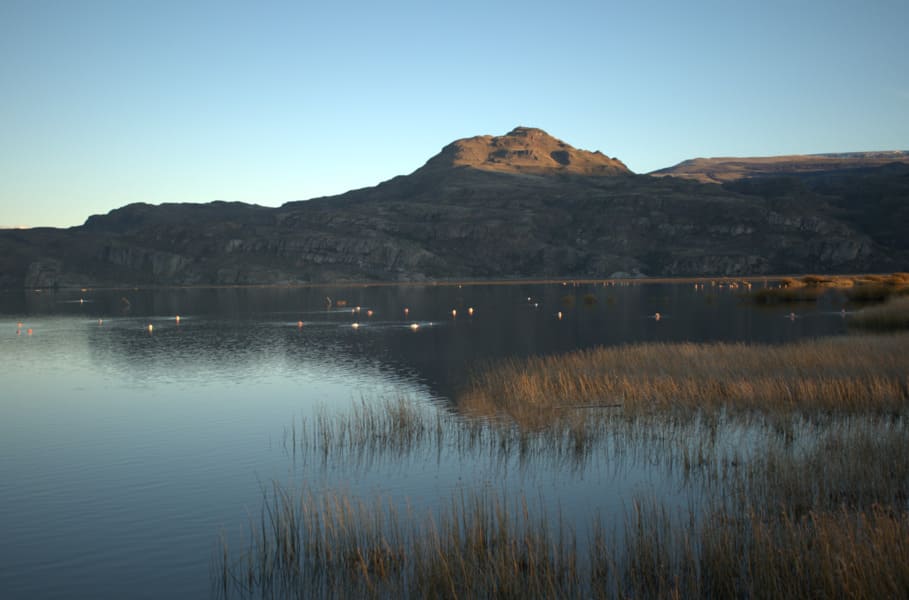 fotohumedal2 (1) (1)