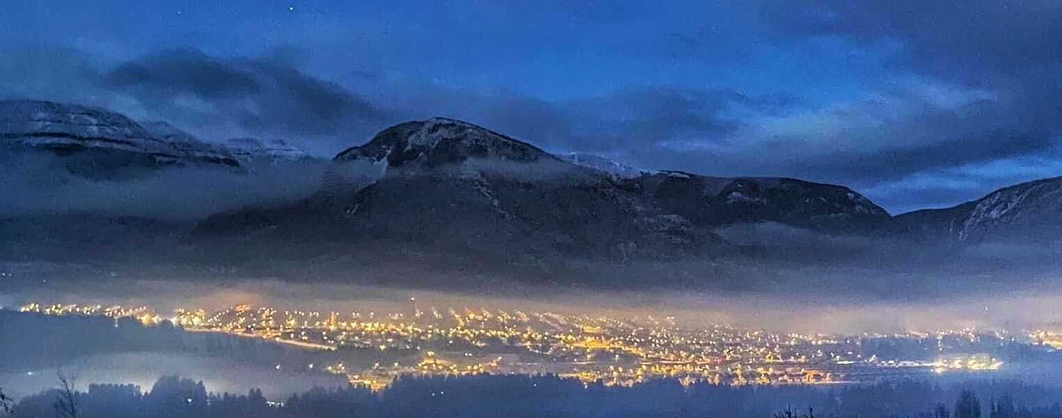 coycontaminado-(1)_optimized