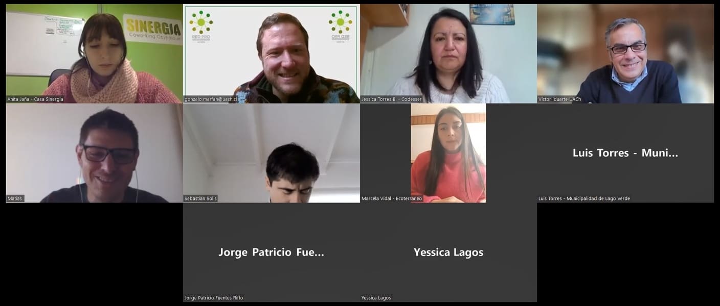 Red Pro Emprendimiento (1) (1)