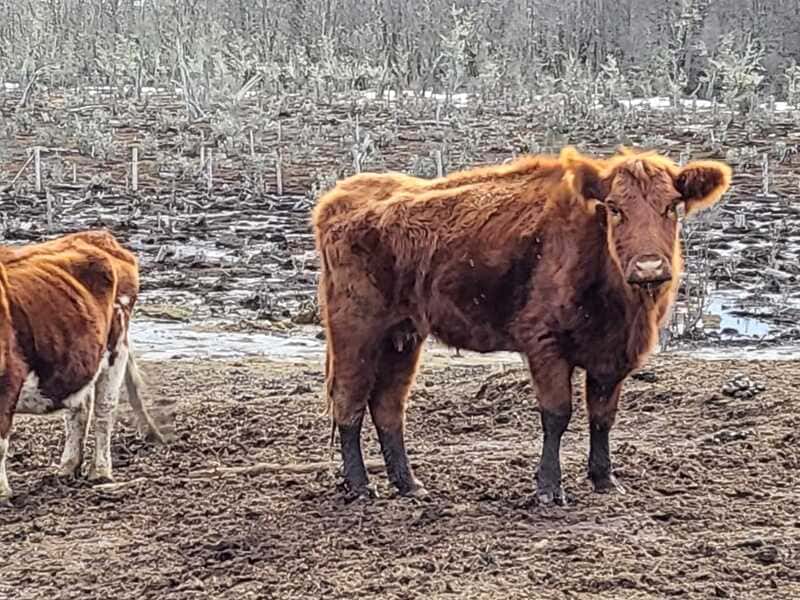 374be414-29c5-4bbf-b4e1-896beac10ea6 (1) (1)