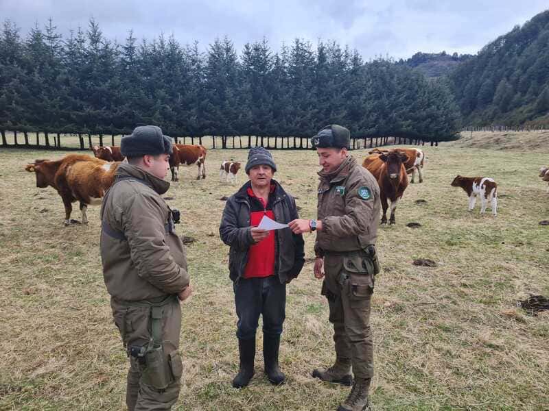 5ae1e80b-97b0-4534-a55d-ee80d1357b59-2-2