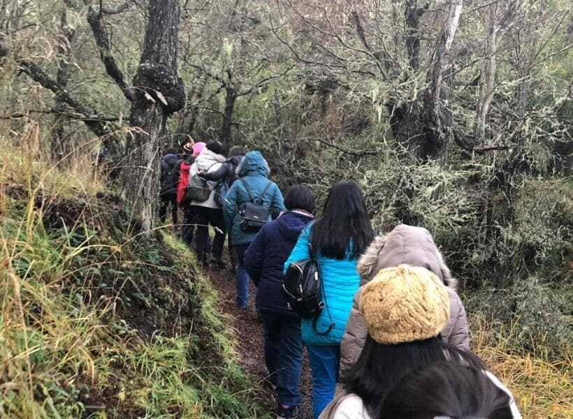 image-(89)-(1)_optimized (1)