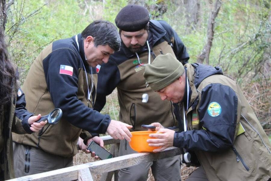 513d7eda-db3f-434e-96b1-055b28133fec (1) (1)