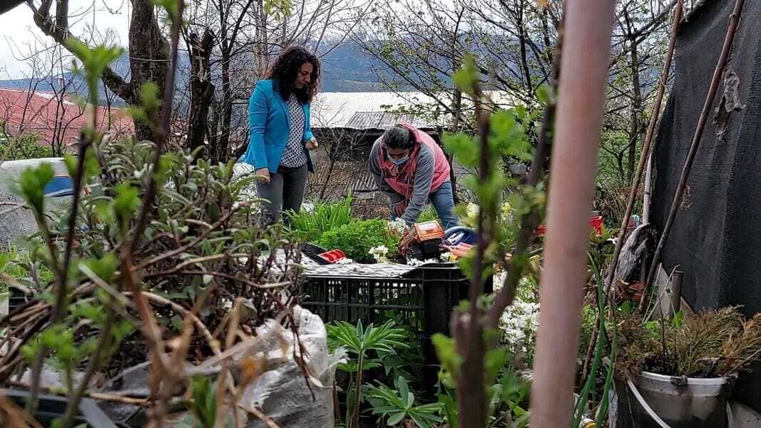 beneficiaria-1-(1)-(1)_optimized (1)