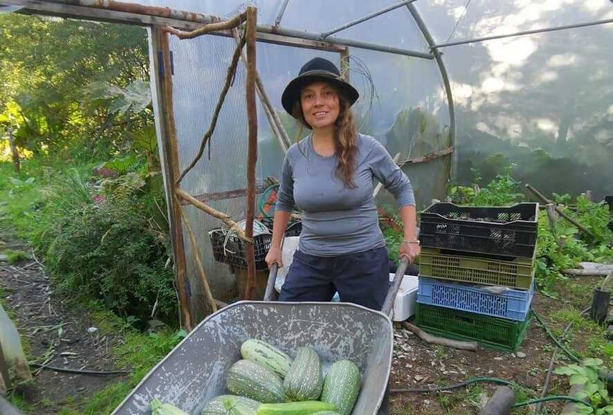 pia-1-1-(1)_optimized