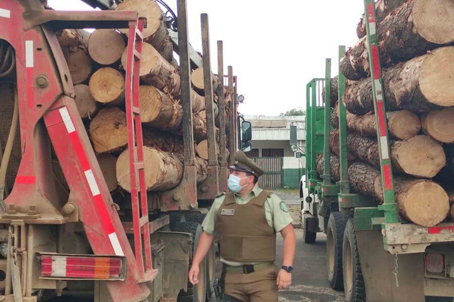 Fiscalizacion-Madera-scaled (1) (1)