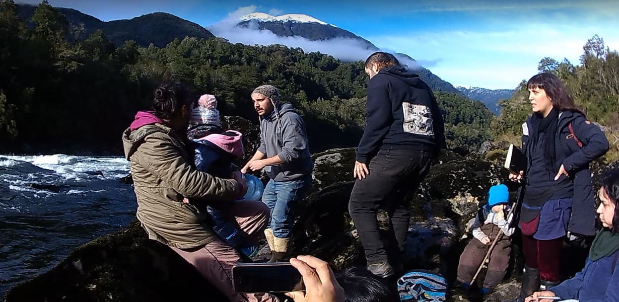 Cisnes 2 (1) (1) (1) (2)