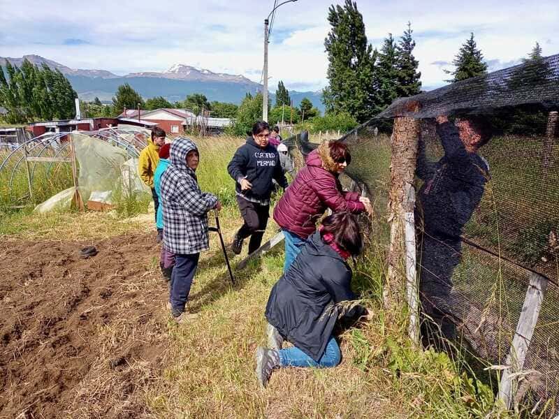 1-(60)-(1)_optimized (1)