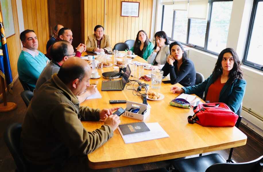 comisión-hantavirus-(1)_optimized