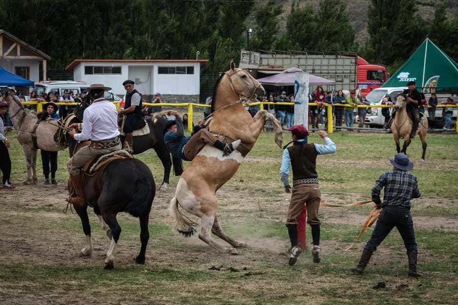 dsc_0502-(1)_optimized (1)