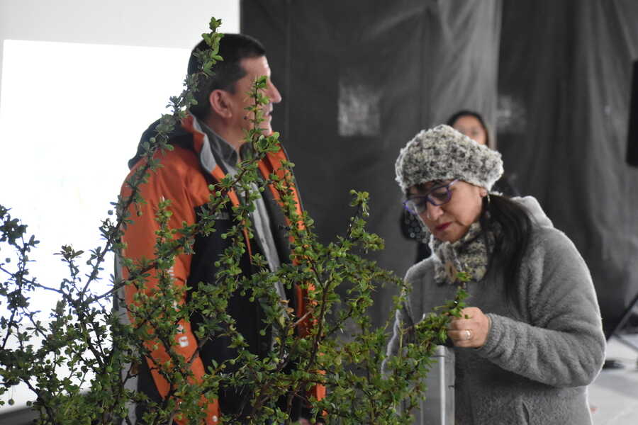 fotografía-(1)_optimized