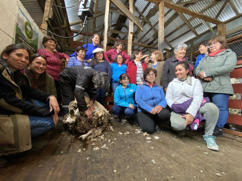 img_0922-(1)_optimized