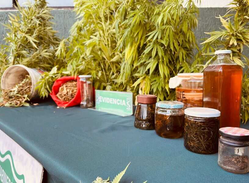 911926c3-c98d-47e9-8a6f-d204cd666081-(1)_optimized