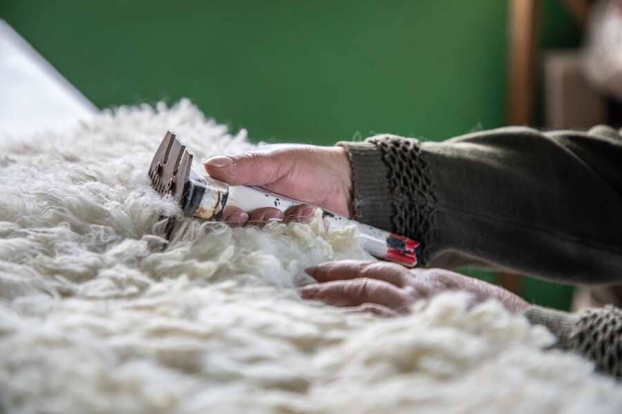 Curtiembre-3793-Baja (1) (1)