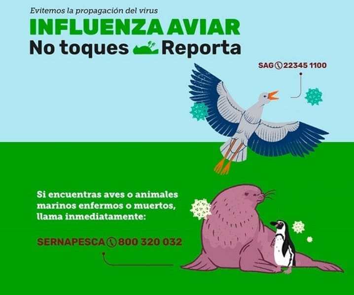 Reunión de coordinación preventiva por influenza aviar se realizó en Municipio de Aysén (1) (1)
