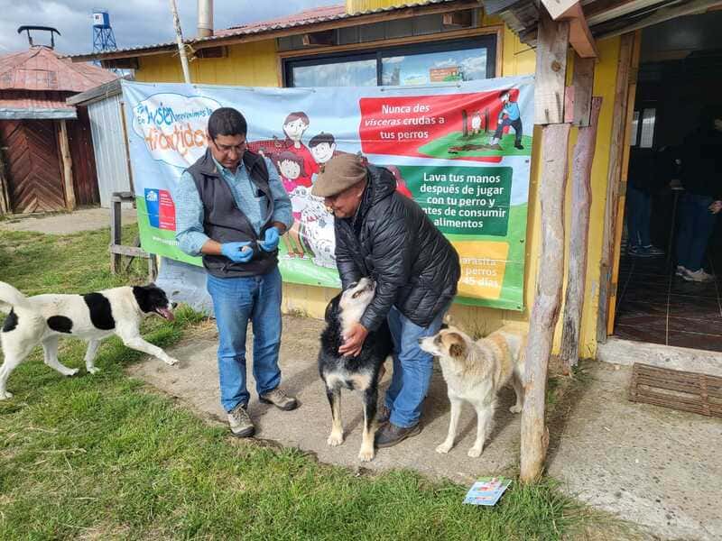 desparasitación (1) (1)