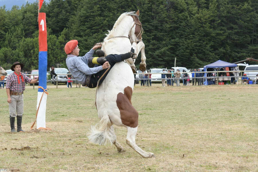 dsc_9746-(1)-(1)_optimized