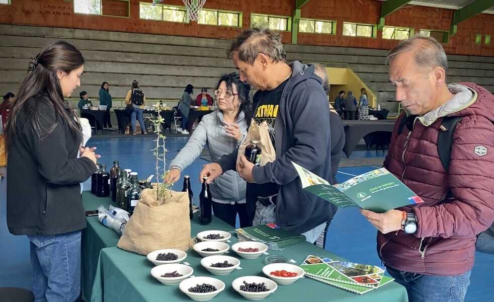 exposicion-infor-(1)_optimized