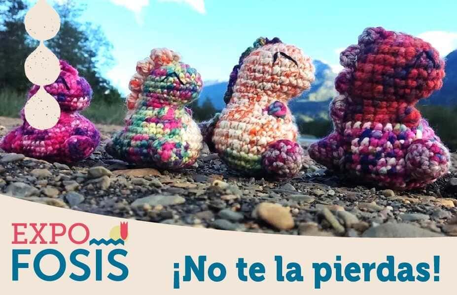 expoaysen_fb_03-(1)_optimized (1)