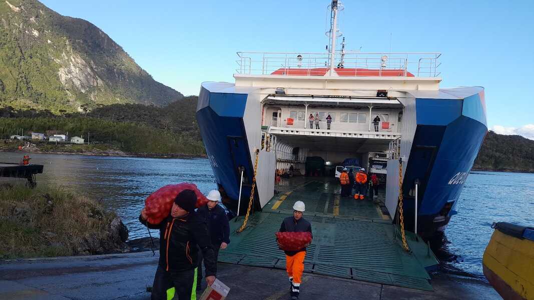 gaviota-(2)-(1)_optimized