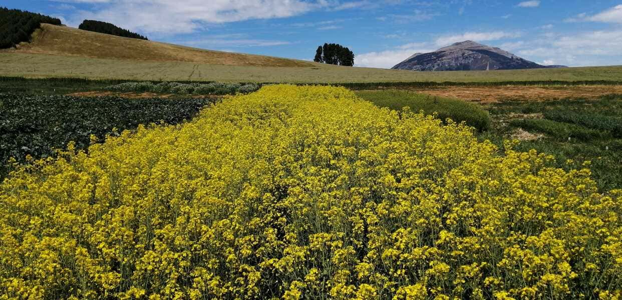 img_20230119_145636-(1)_optimized (1)