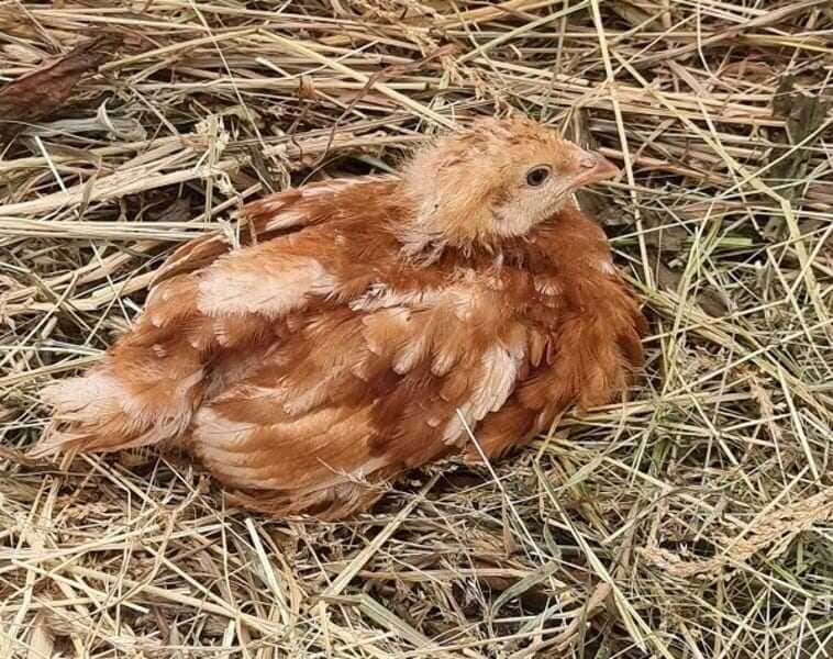 20230105_101859-(1)-(1)_optimized-(1)_optimized (1)