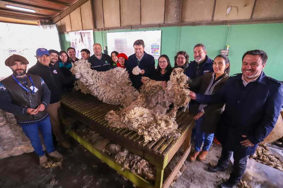 WhatsApp Image 2023-04-28 at 17.03.38 (1) (1) (1)