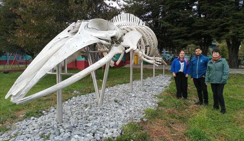 aysen4-(1)-(1)_optimized-(1)_optimized (1)