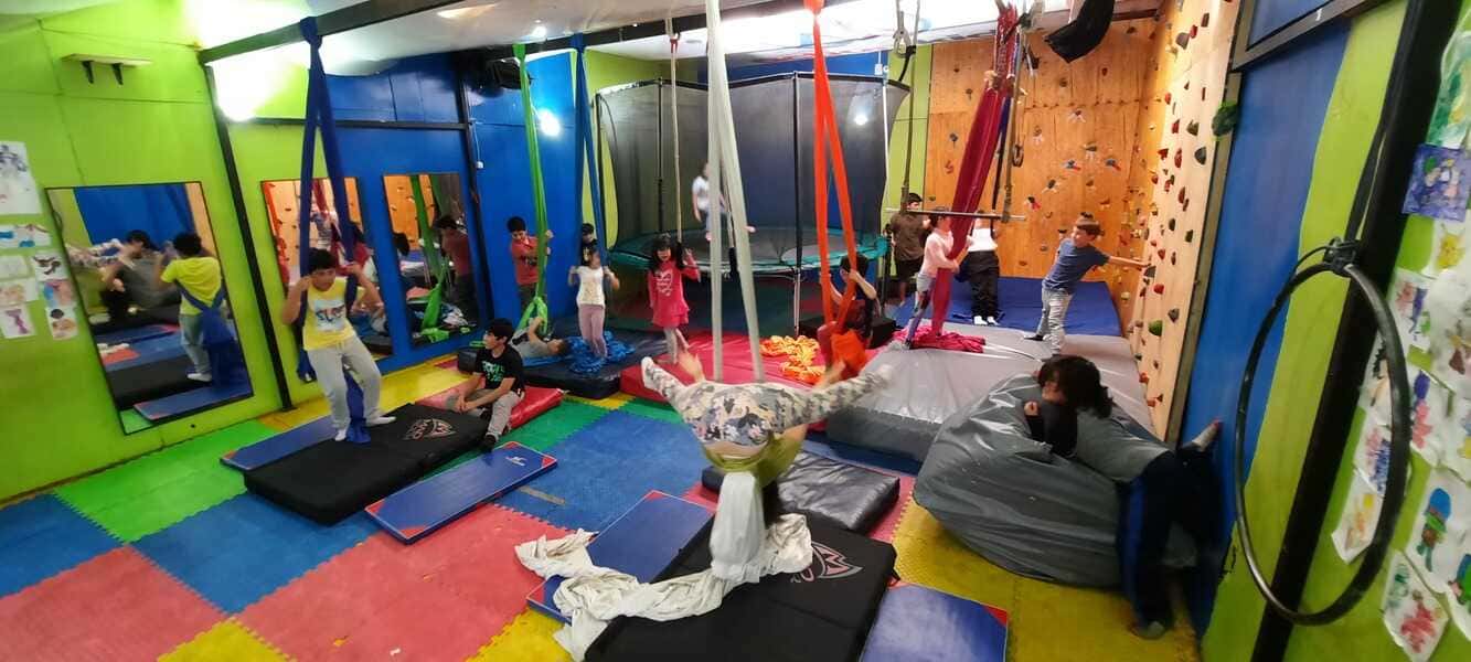 circo-2-(1)_optimized (1)