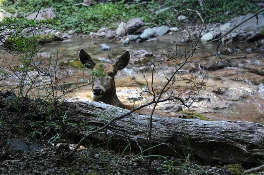 whatsapp-image-2023-04-24-at-17_optimized.20.00-(1)-(1)-(1) (1)