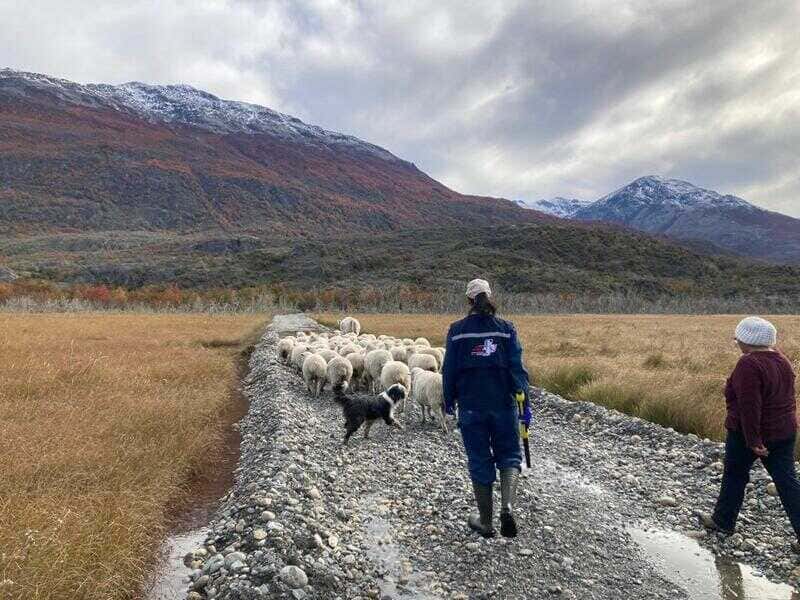 img-20230411-wa0030-(1)_optimized (1)