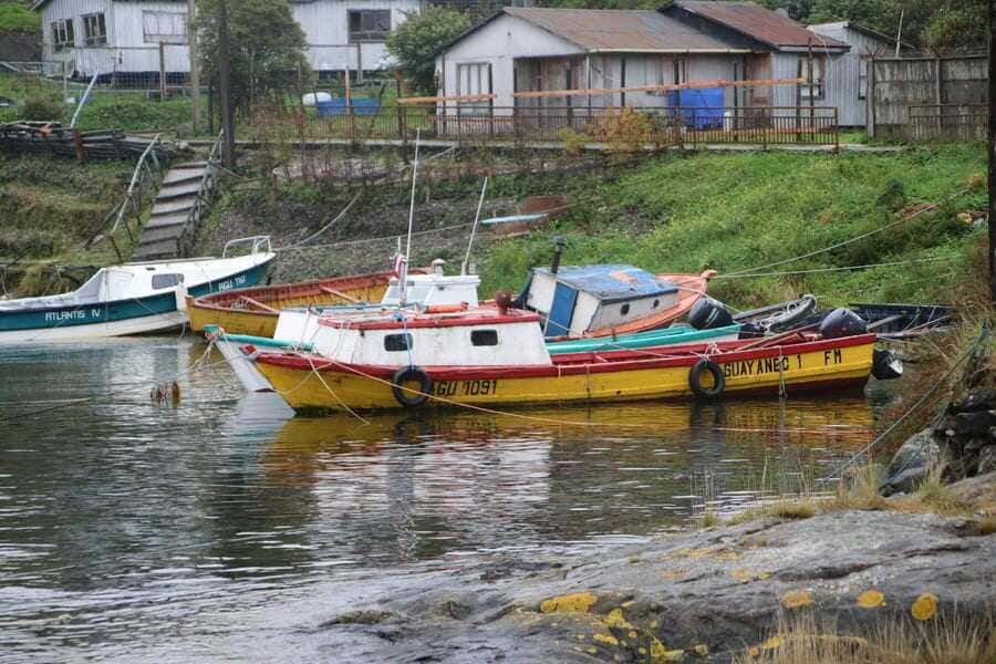 img_2560-(1)-(1)_optimized-(1)_optimized (1)